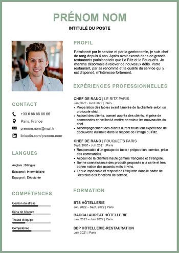 cv canevas original gratuit