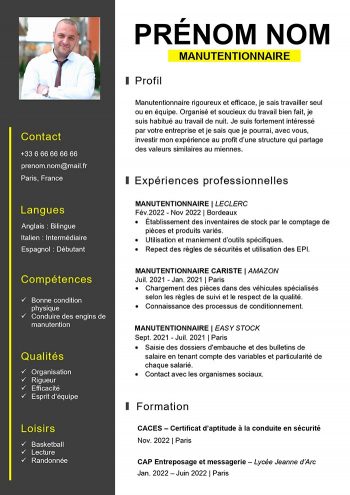 cv manutentionnaire exemple