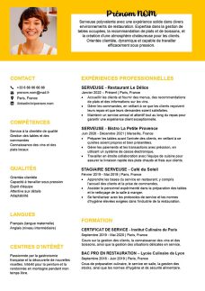 exemple cv serveur