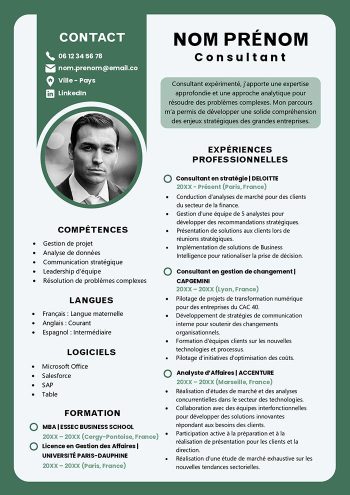 exemple cv consultant