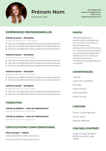 template cv google docs français