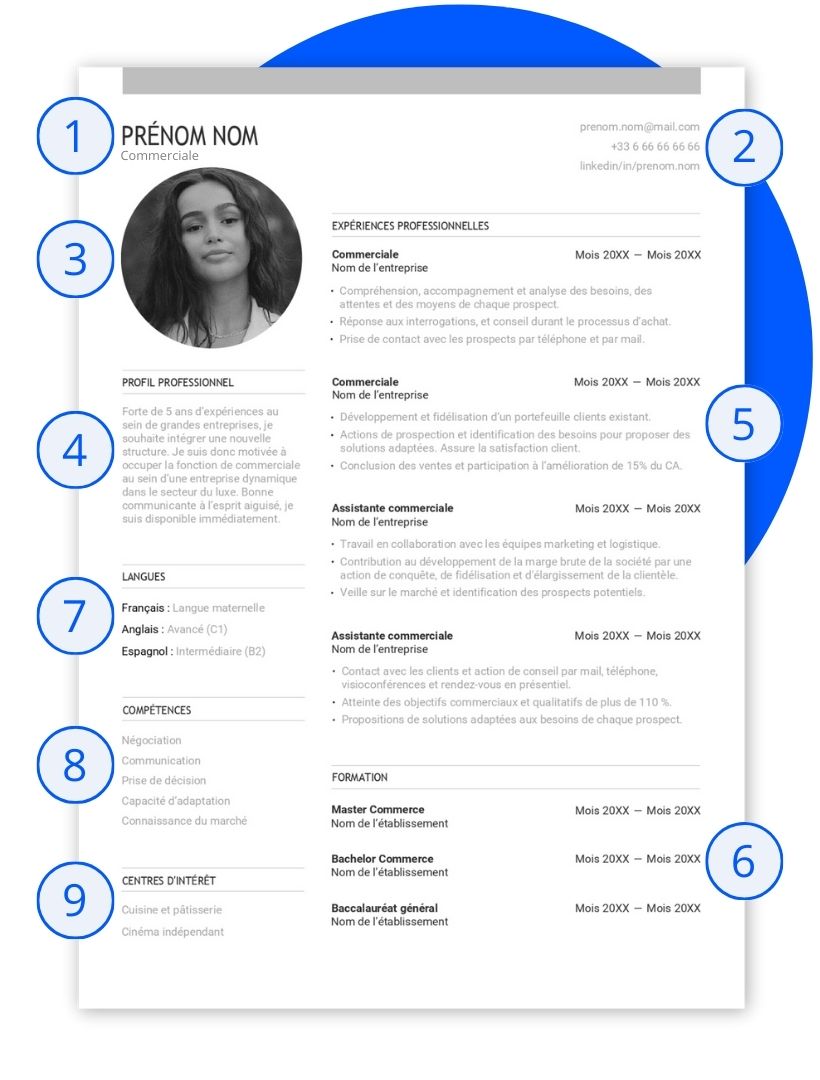 structure d'un exemple de cv