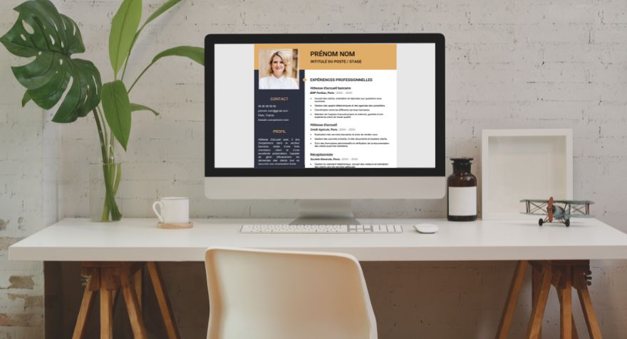 exemple cv parfait à télécharger