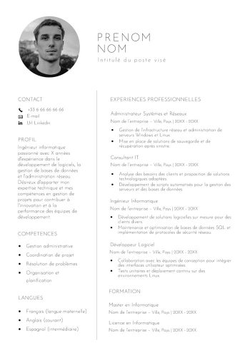modèle cv minimaliste