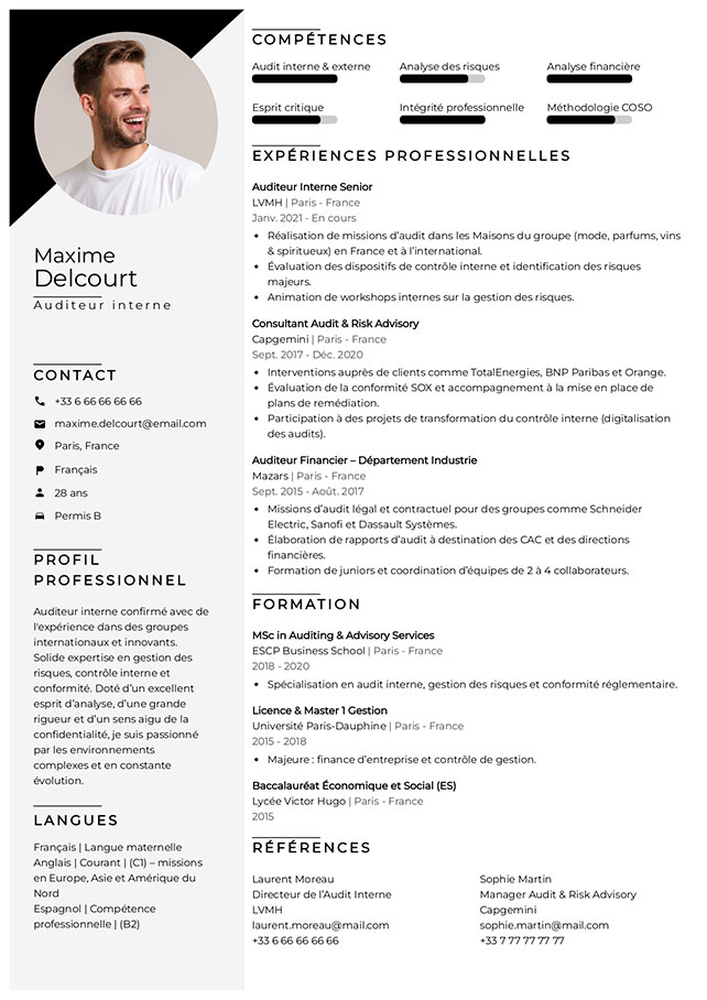modèle cv professionnel moderne