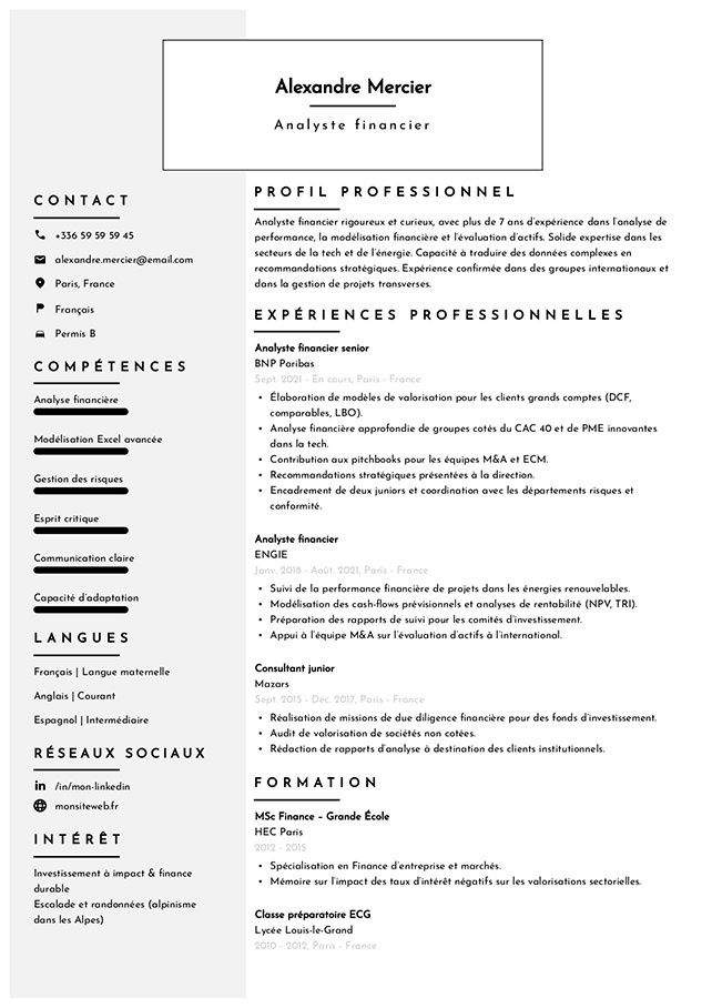 modèle cv professionnel