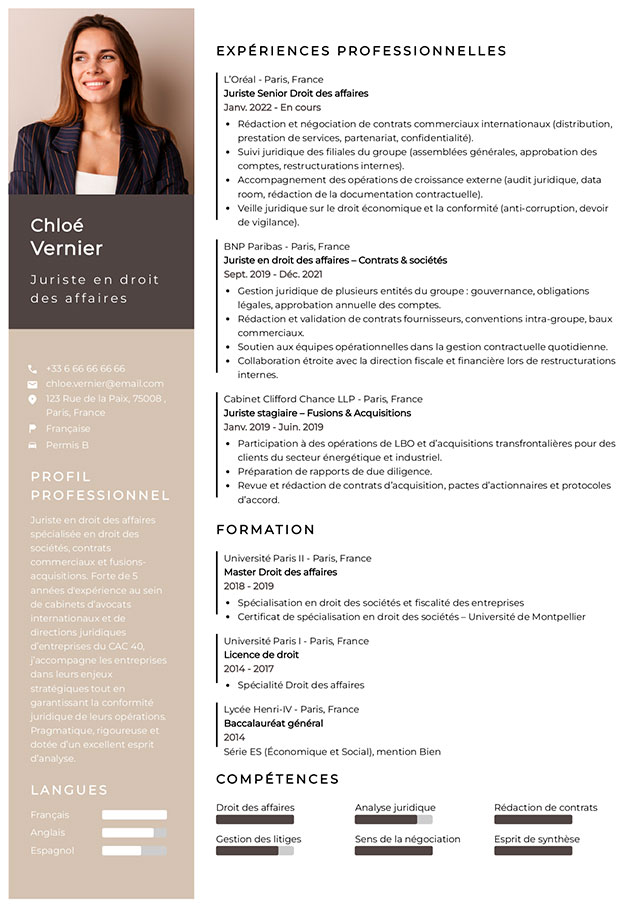 modèle cv sophistiqué