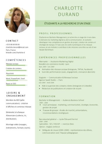 modèle cv stage gratuit